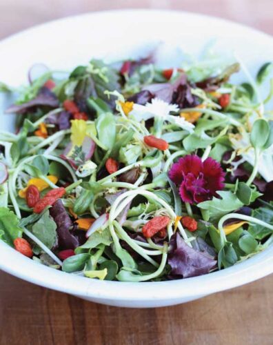Spring Salad with Ginger Dressing Recipe